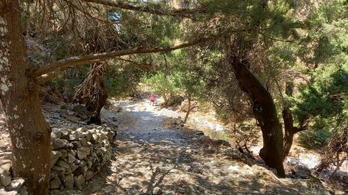 The Samaria Gorge