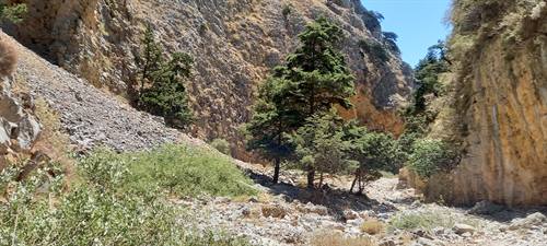 The Samaria Gorge