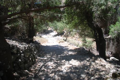 The Samaria Gorge